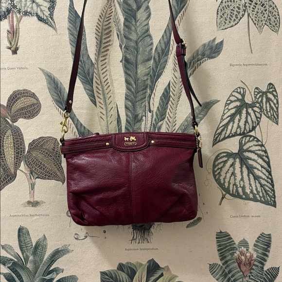 Coach Madison Leather Crossbody - Picture 2 of 11